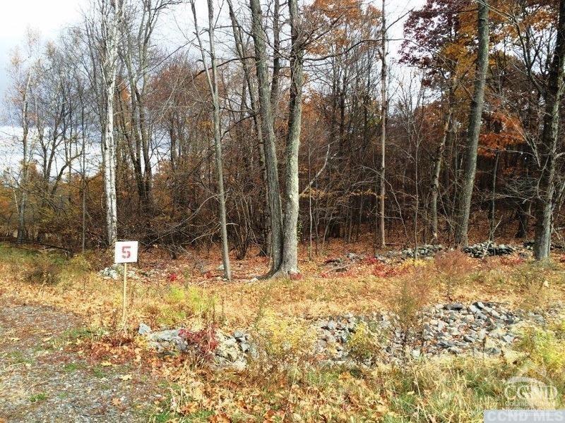 5 Stonegate Off Birch Hill Road #LOT 5, Copake, New York image 3