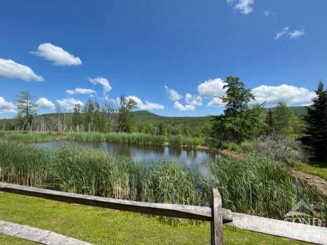 8 Trailside Drive #B-1, Hunter, New York image 23