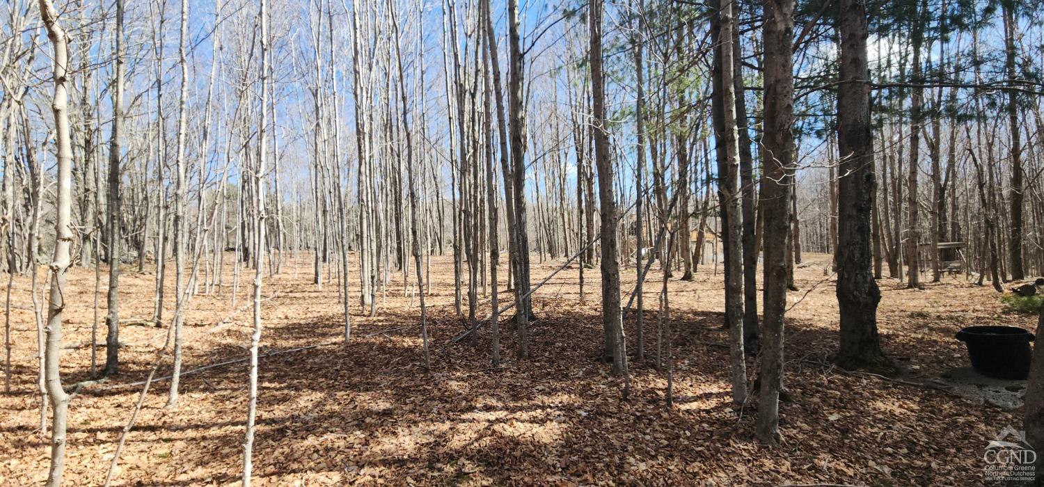 184 N Cloos Road, Jewett, New York image 23