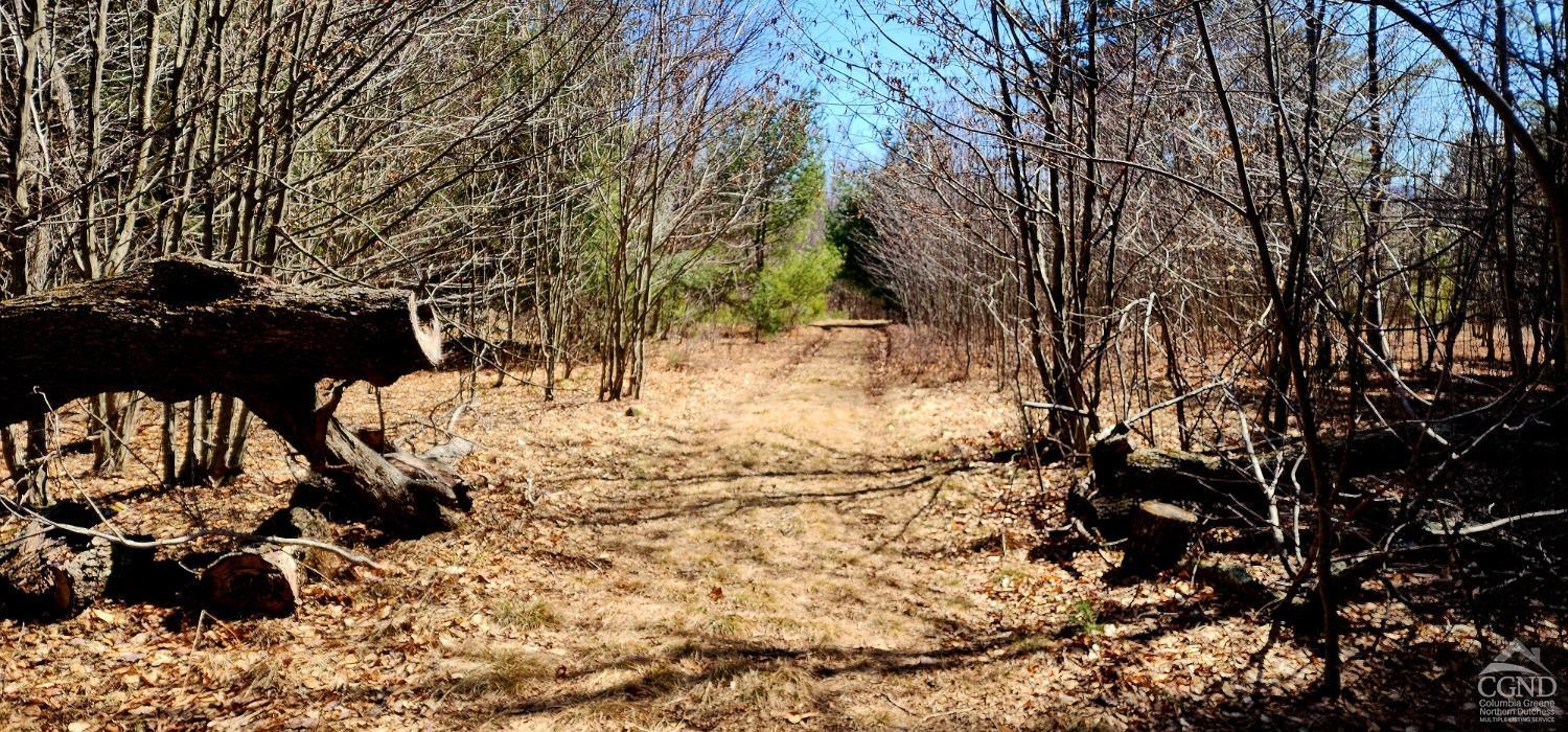 184 N Cloos Road, Jewett, New York image 31