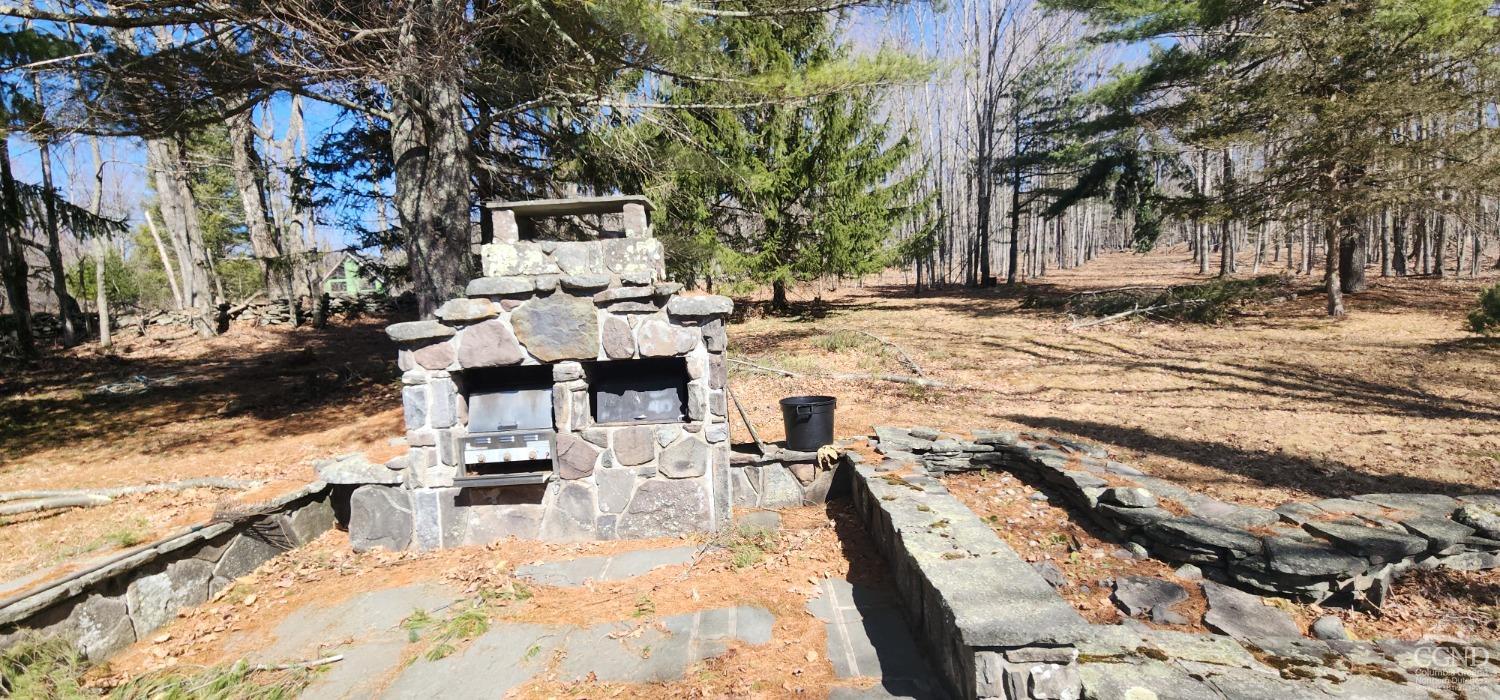 184 N Cloos Road, Jewett, New York image 21