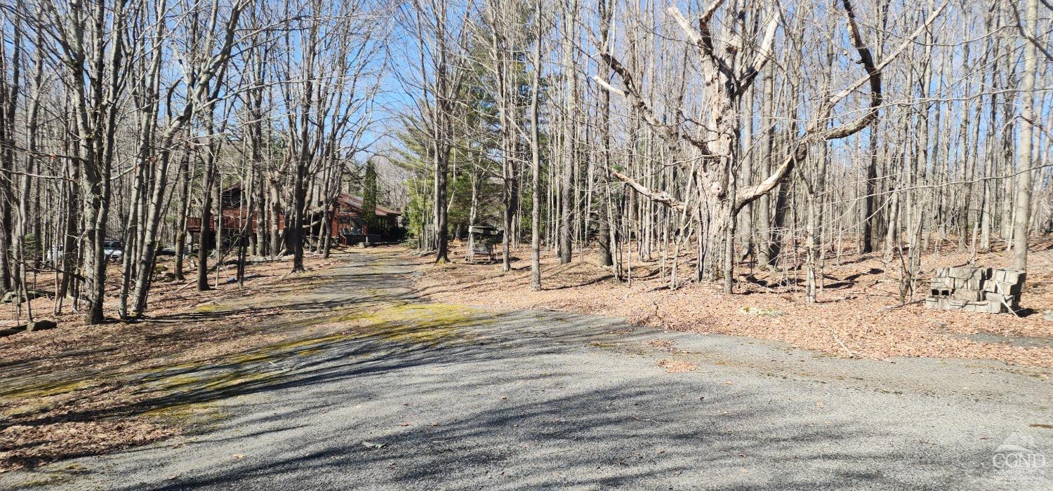 184 N Cloos Road, Jewett, New York image 24