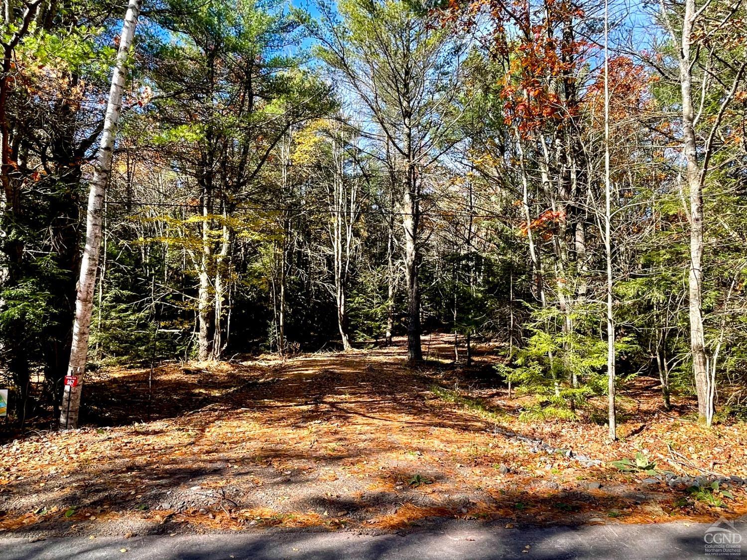 557 Campbell Road #LOT 2, Ashland, New York image 1