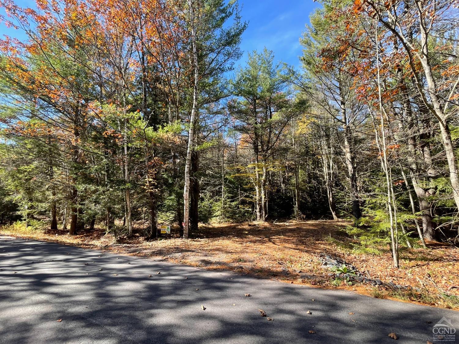 557 Campbell Road #LOT 2, Ashland, New York image 2