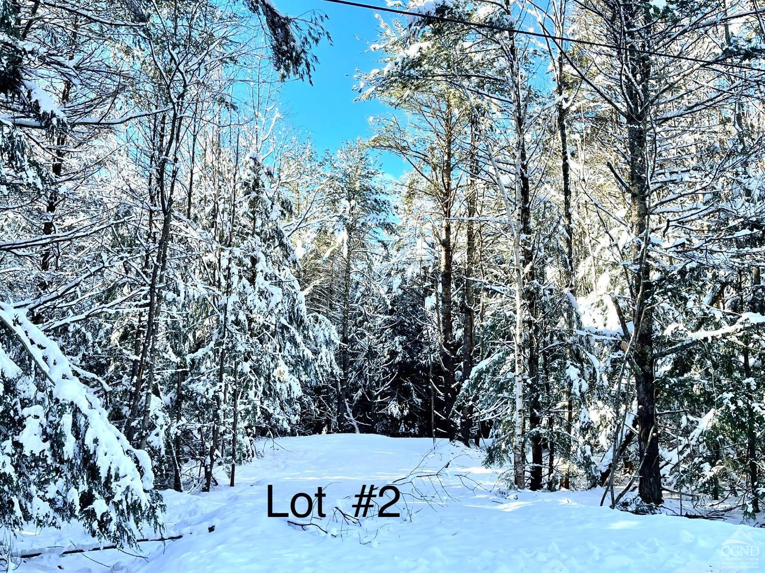 557 Campbell Road #LOT 2, Ashland, New York image 8