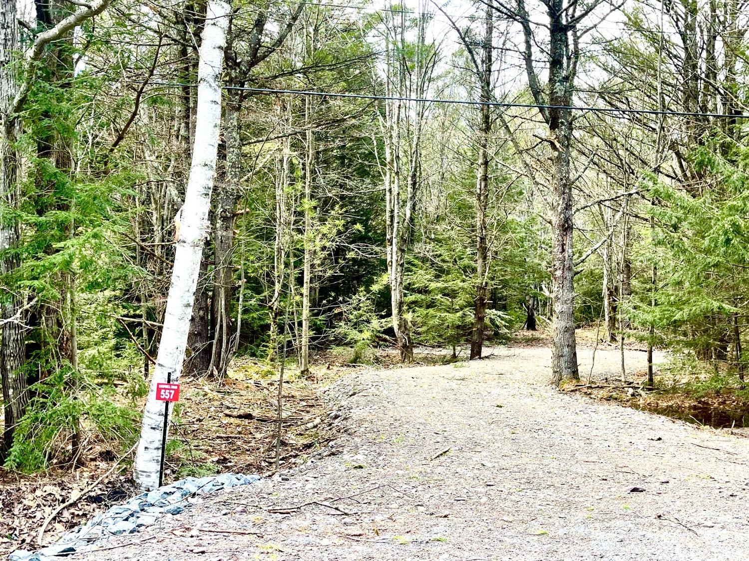 557 Campbell Road #LOT 2, Ashland, New York image 4