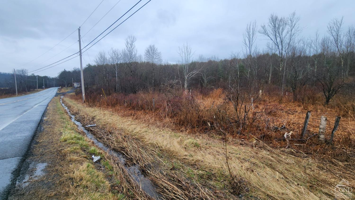 County Route 352, Rensselaerville, New York image 8