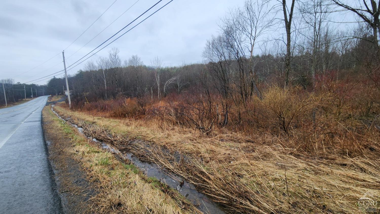 County Route 352, Rensselaerville, New York image 5