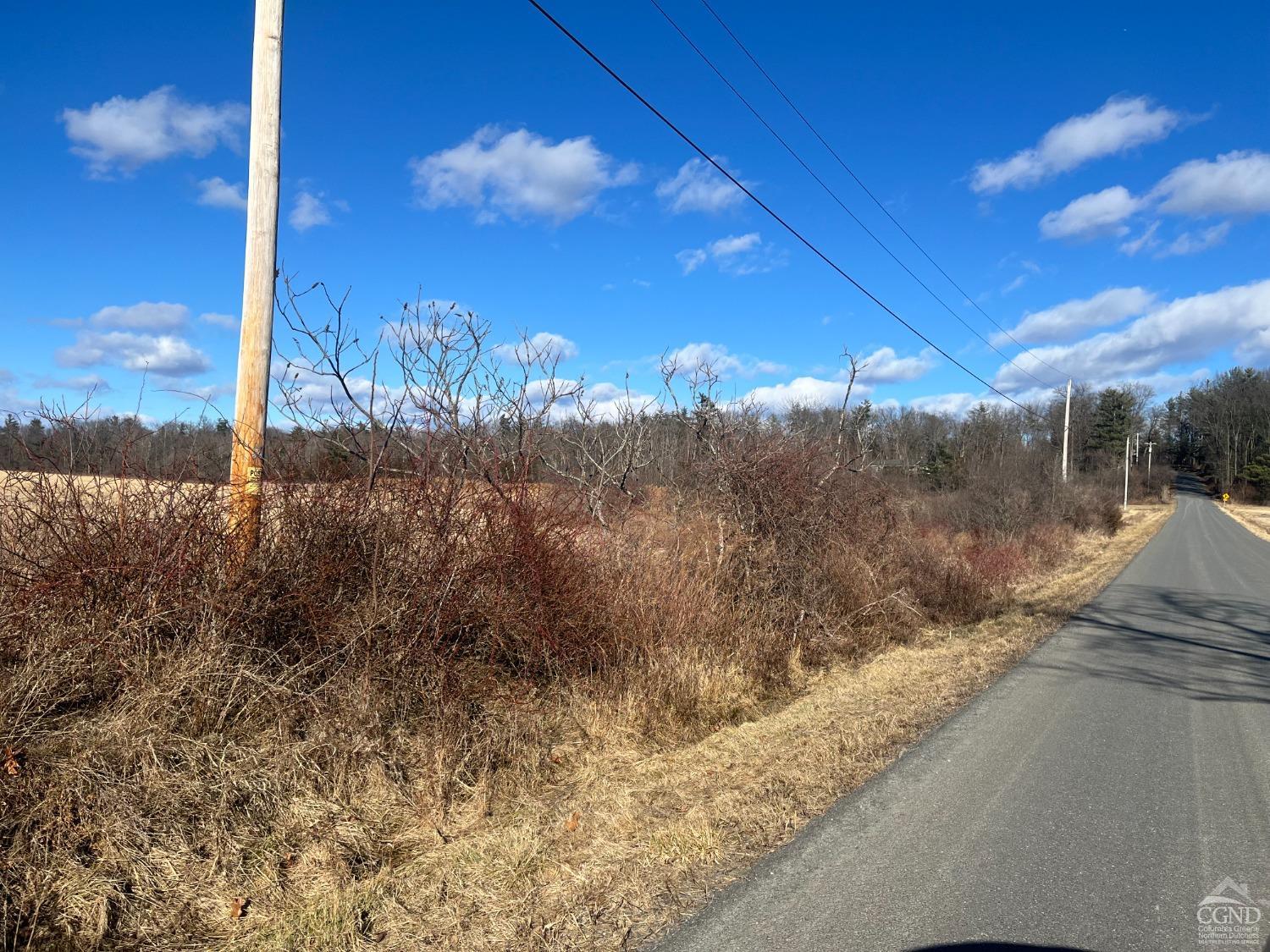 147 Ridge Road, Stuyvesant, New York image 6