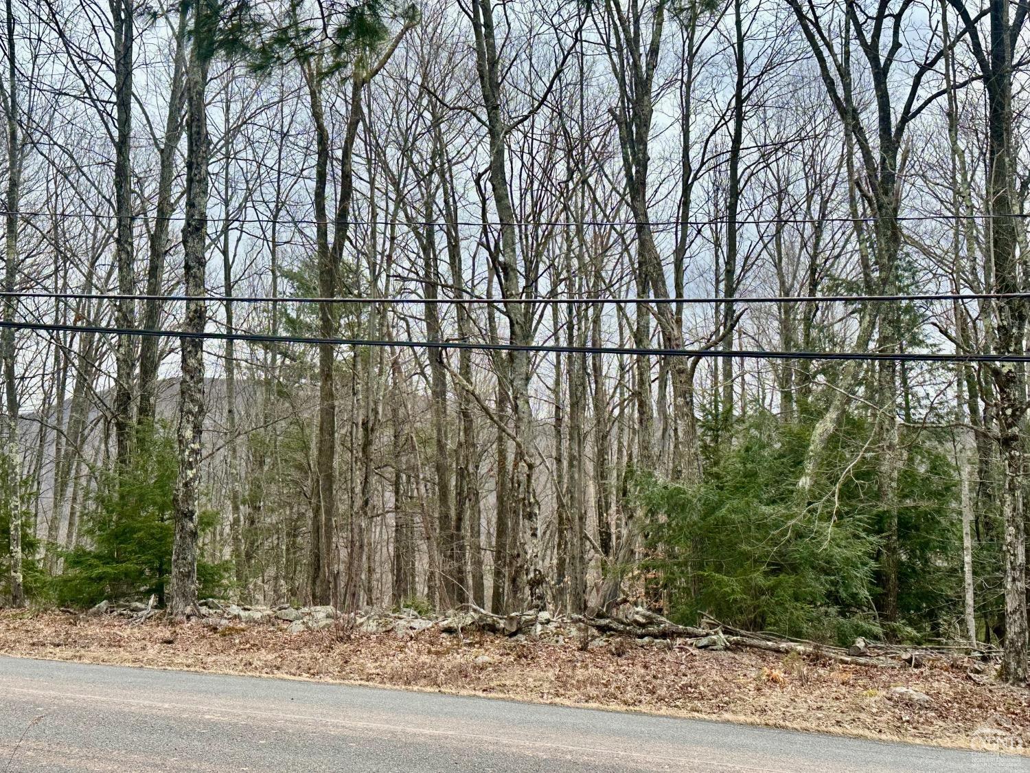 611 Old Road, Windham, New York image 2