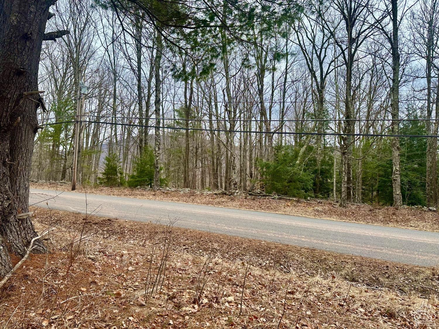 611 Old Road, Windham, New York image 8
