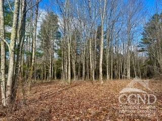 611 Old Road, Windham, New York image 1