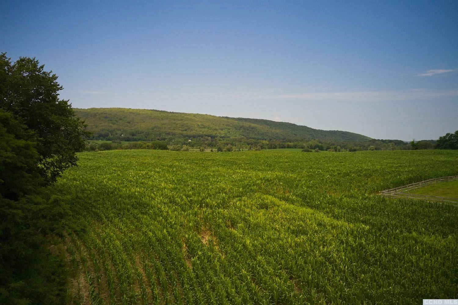 Boston Corners Road, Millerton, New York image 17