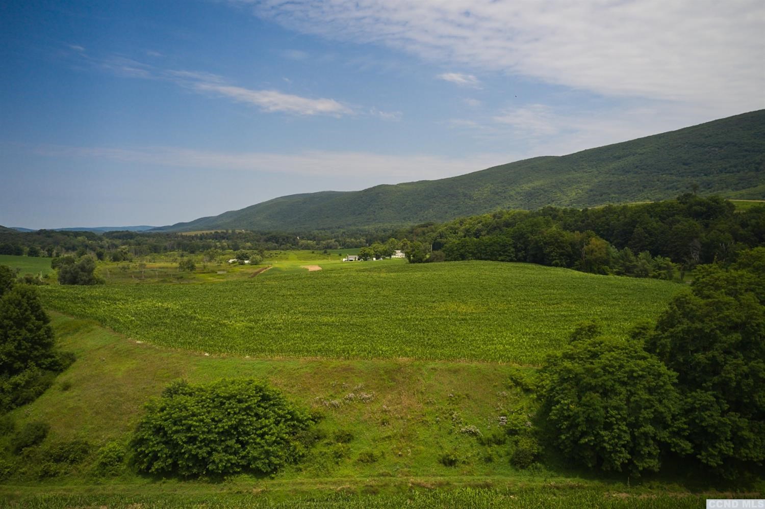 Boston Corners Road, Millerton, New York image 6