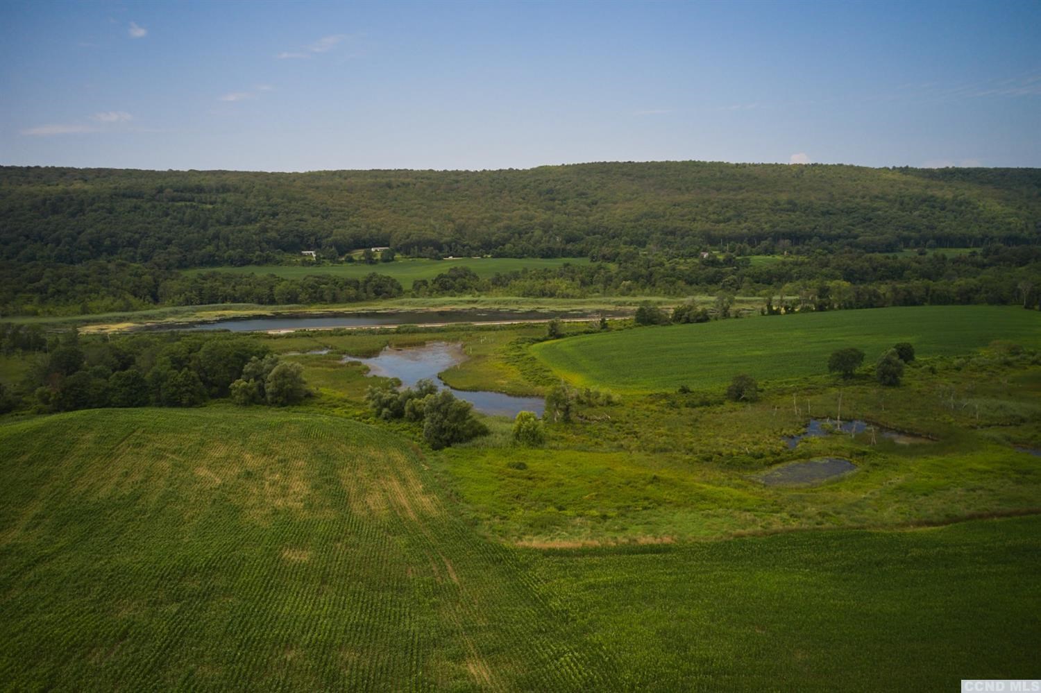 Boston Corners Road, Millerton, New York image 14