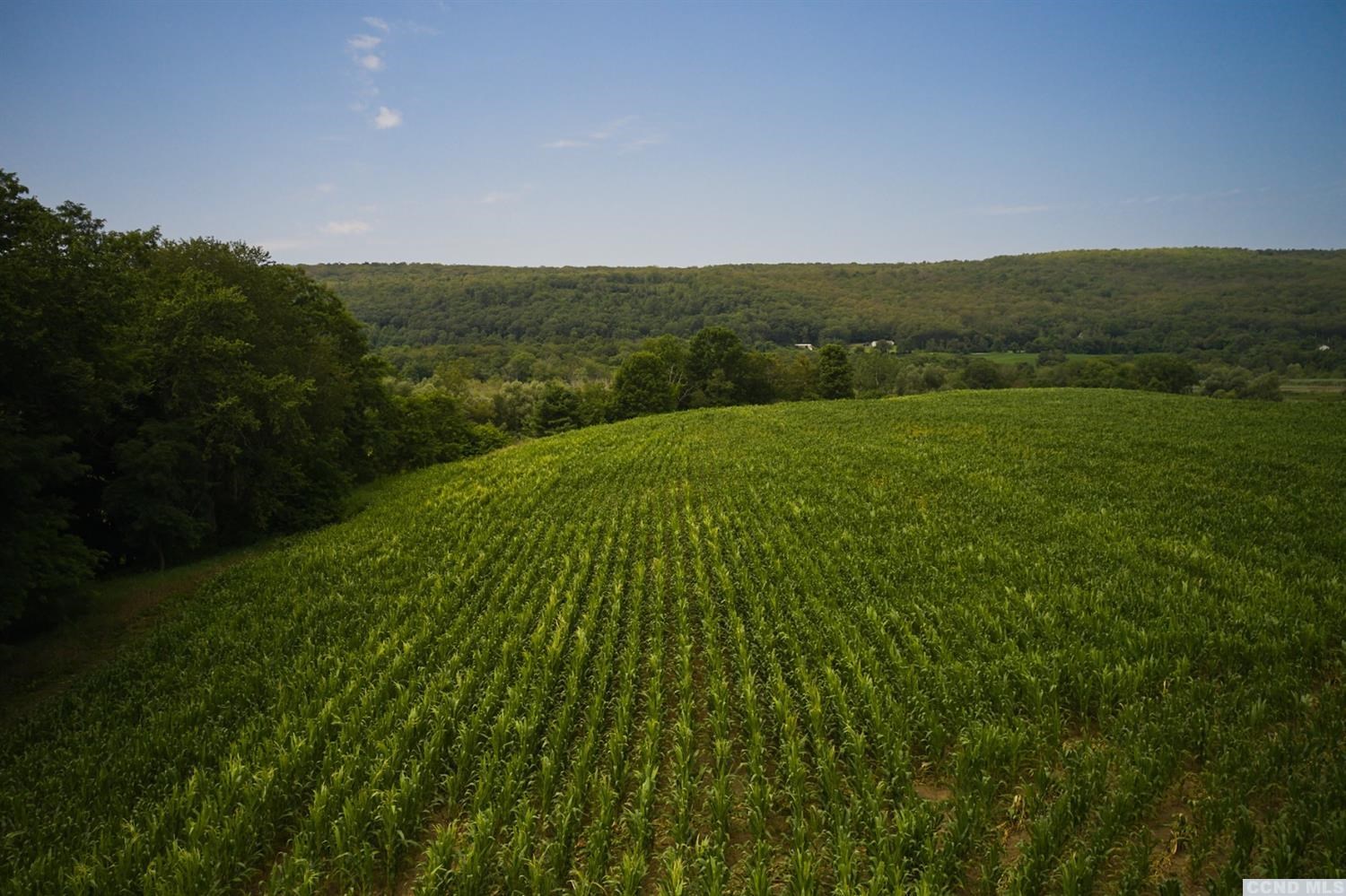 Boston Corners Road, Millerton, New York image 16