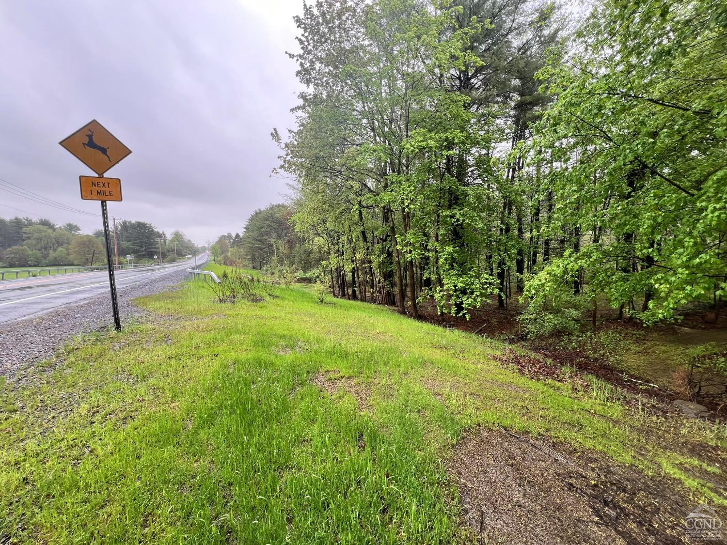 Route 81, Coxsackie, Texas image 1