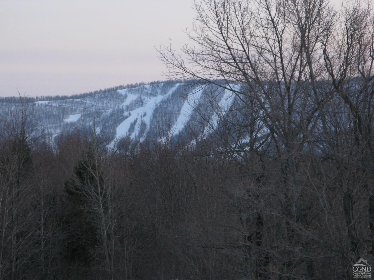 13 Boulder Brook Road, Windham, New York image 5