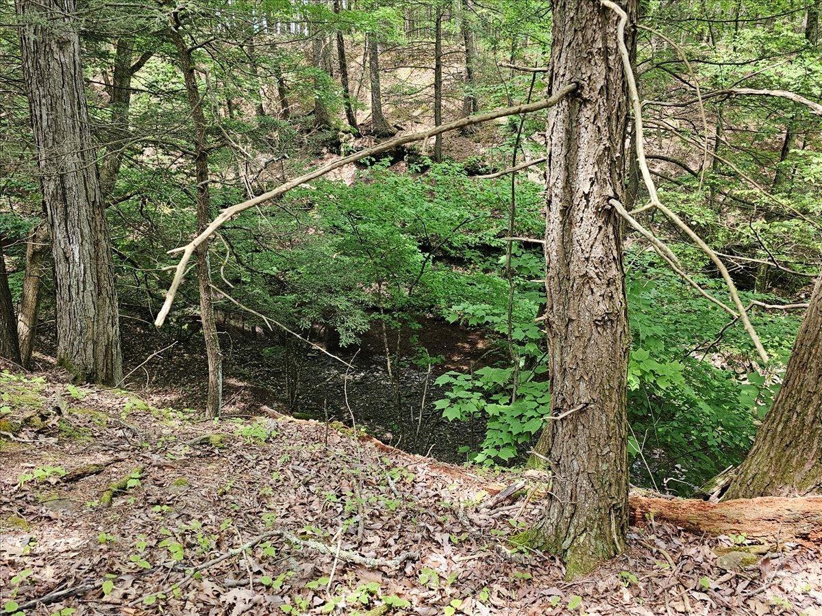 305 Maple Lawn, Cairo, New York image 9