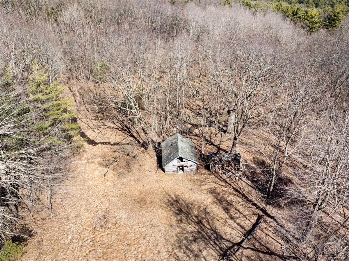 305 Maple Lawn, Cairo, New York image 15