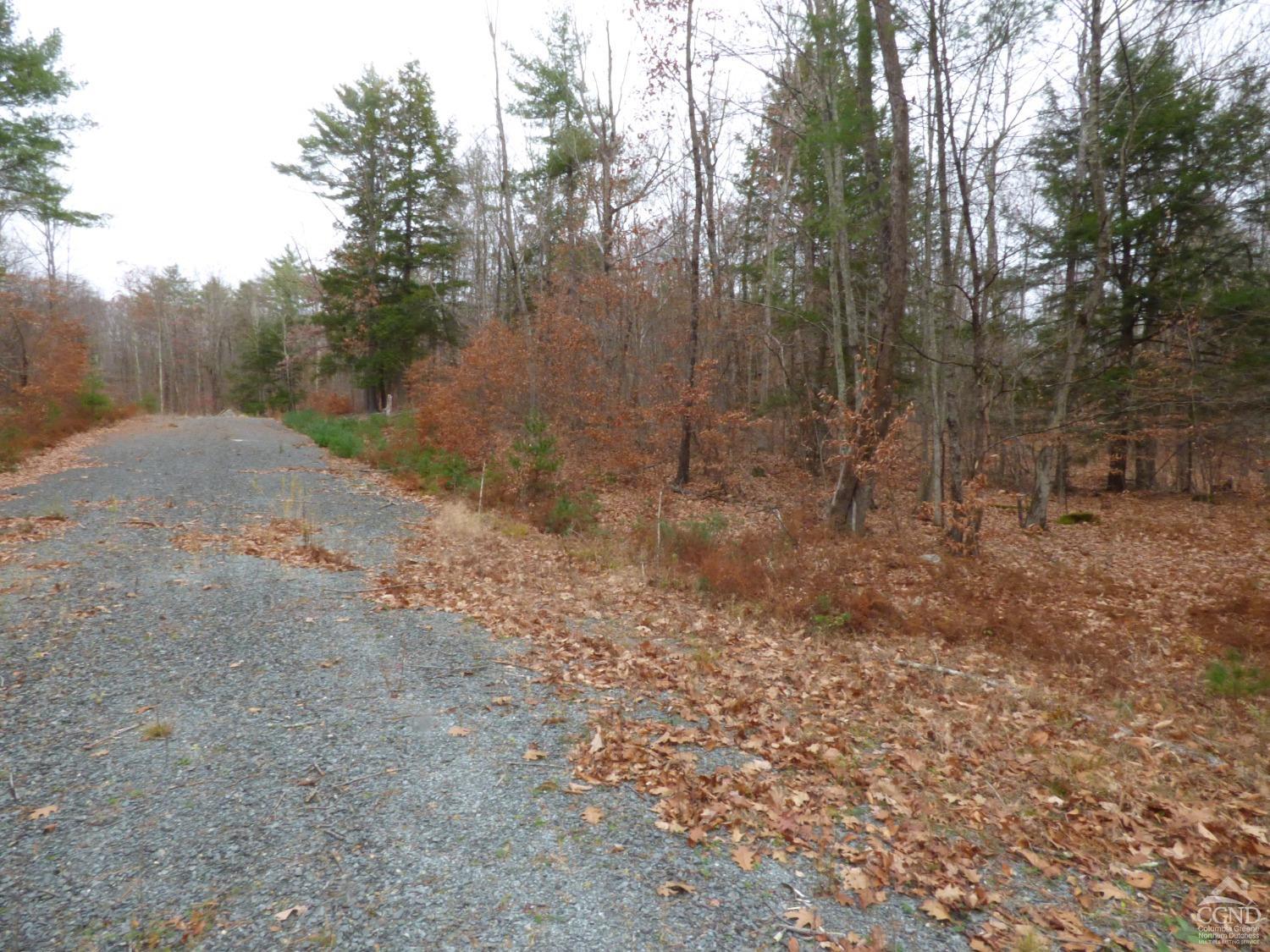 Jasmine Road, Stephentown, New York image 10