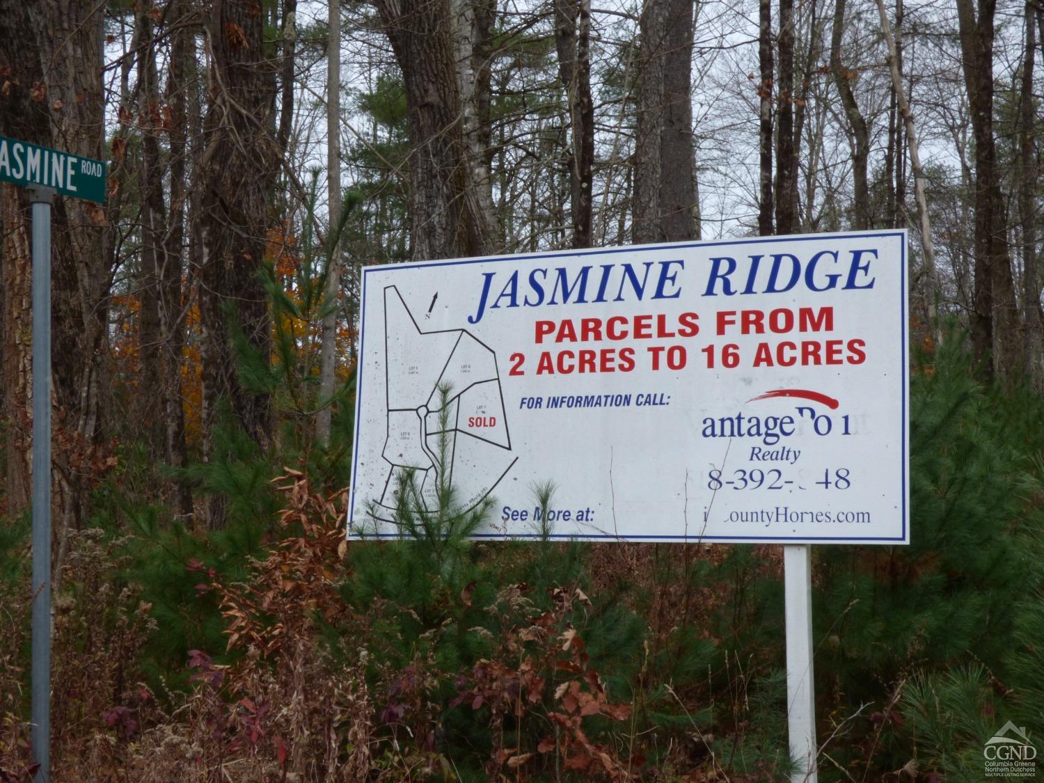 Jasmine Road, Stephentown, New York image 13