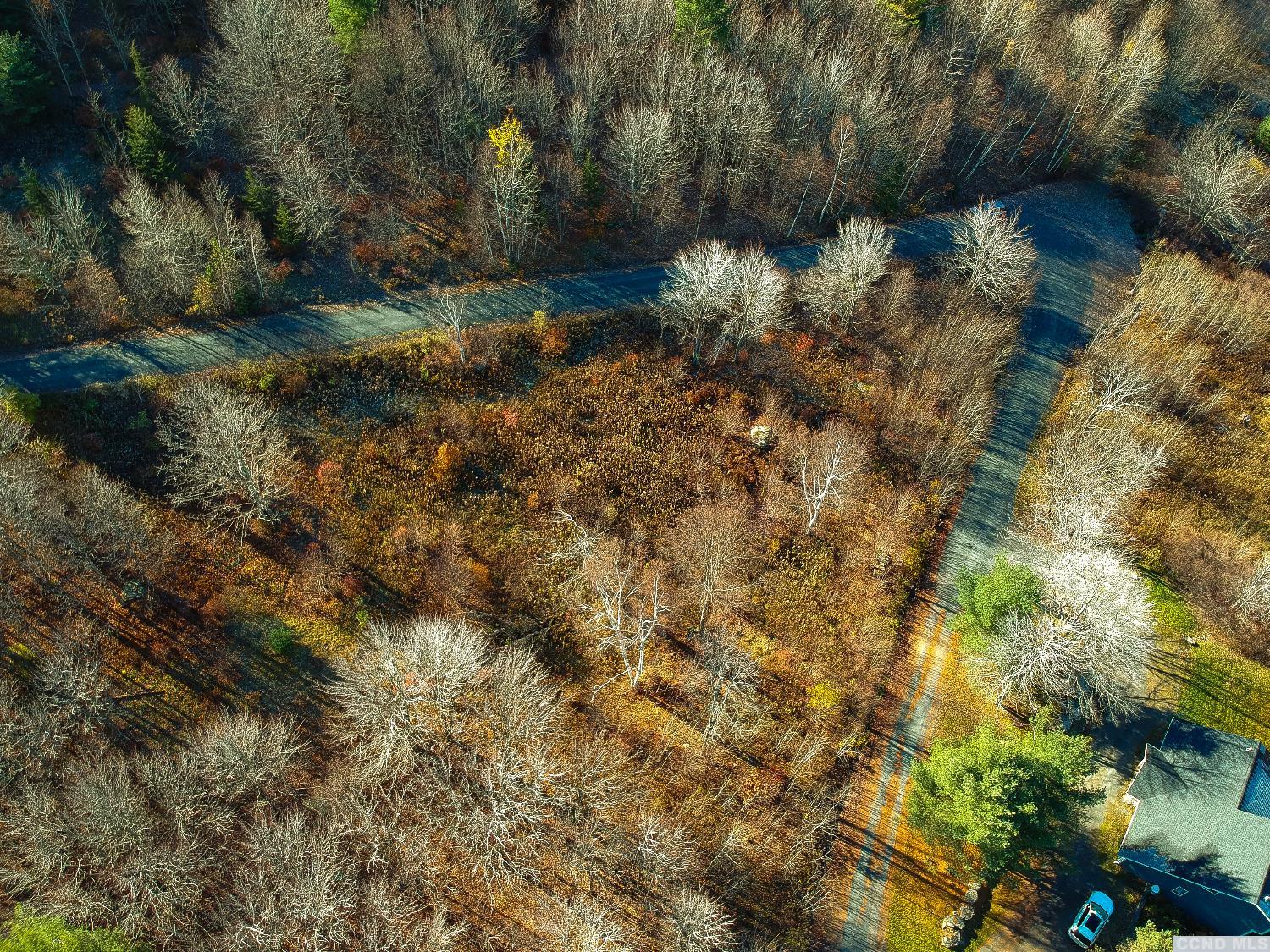 Panarama Lane, Windham, New York image 9