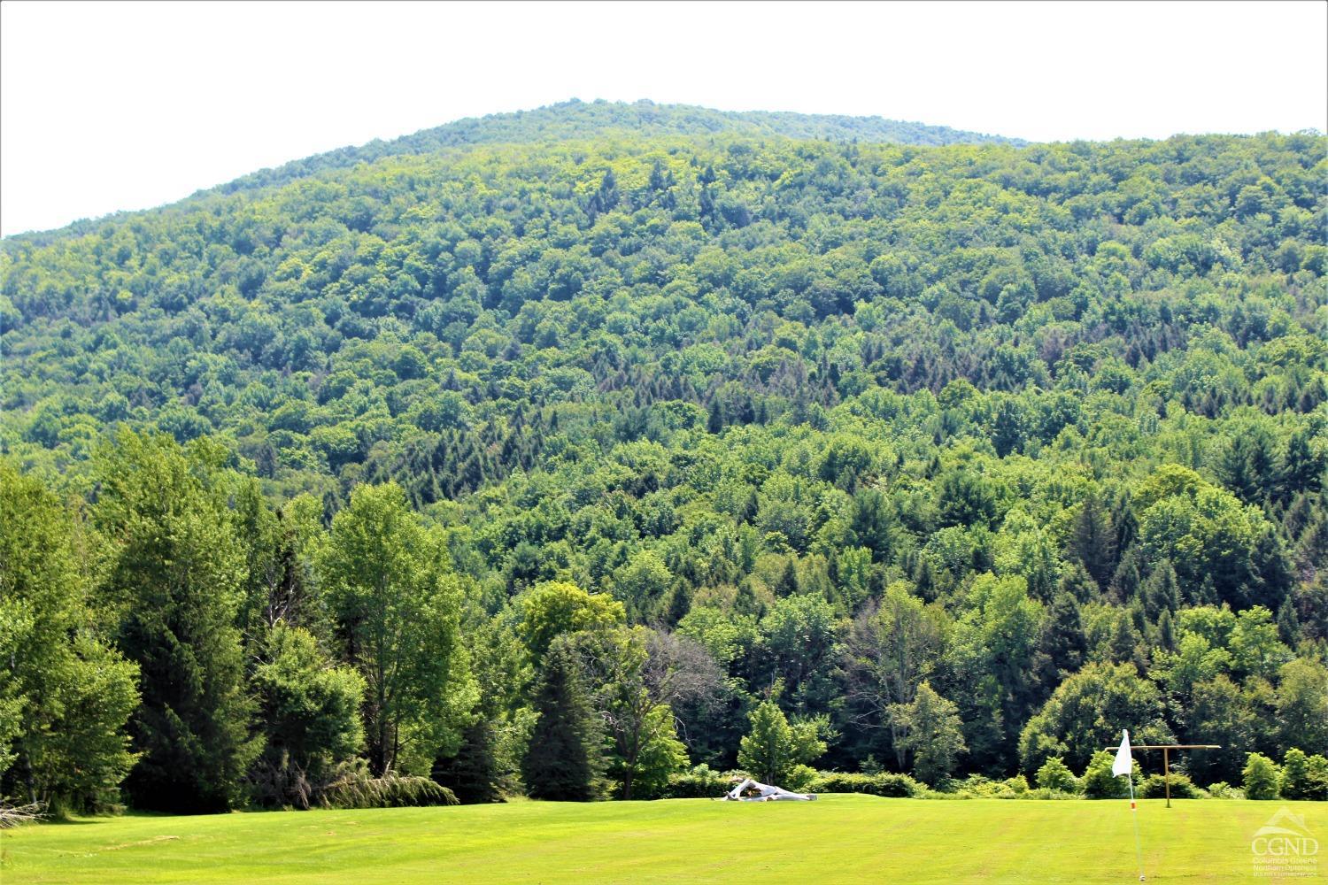 Off State Route 23, Windham, New York image 14