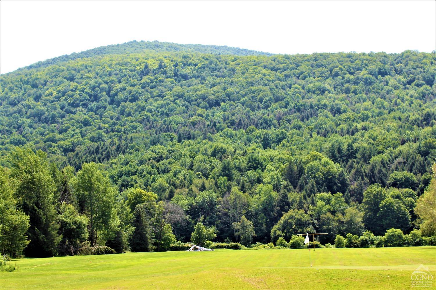 Off State Route 23, Windham, New York image 12