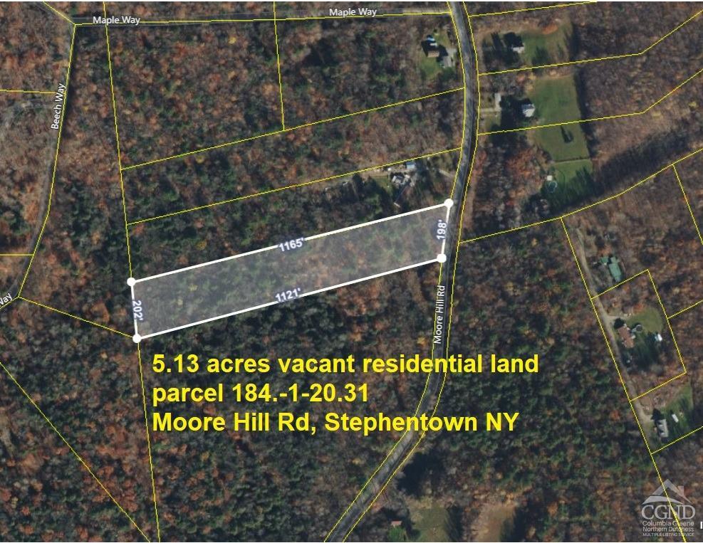 Moore Hill Road, Stephentown, New York image 1