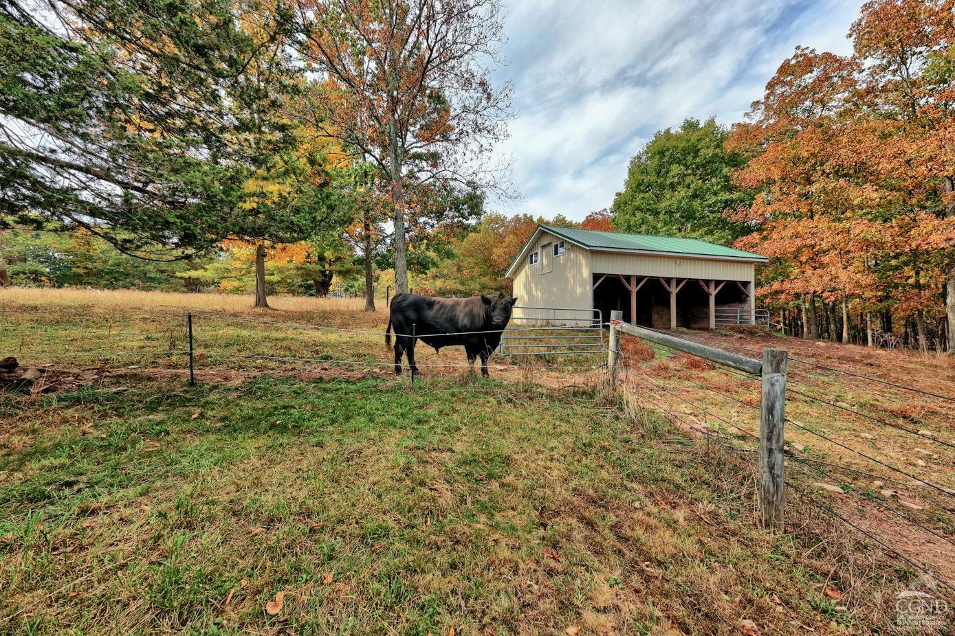 130 136 Woodard Road, Durham, New York image 16