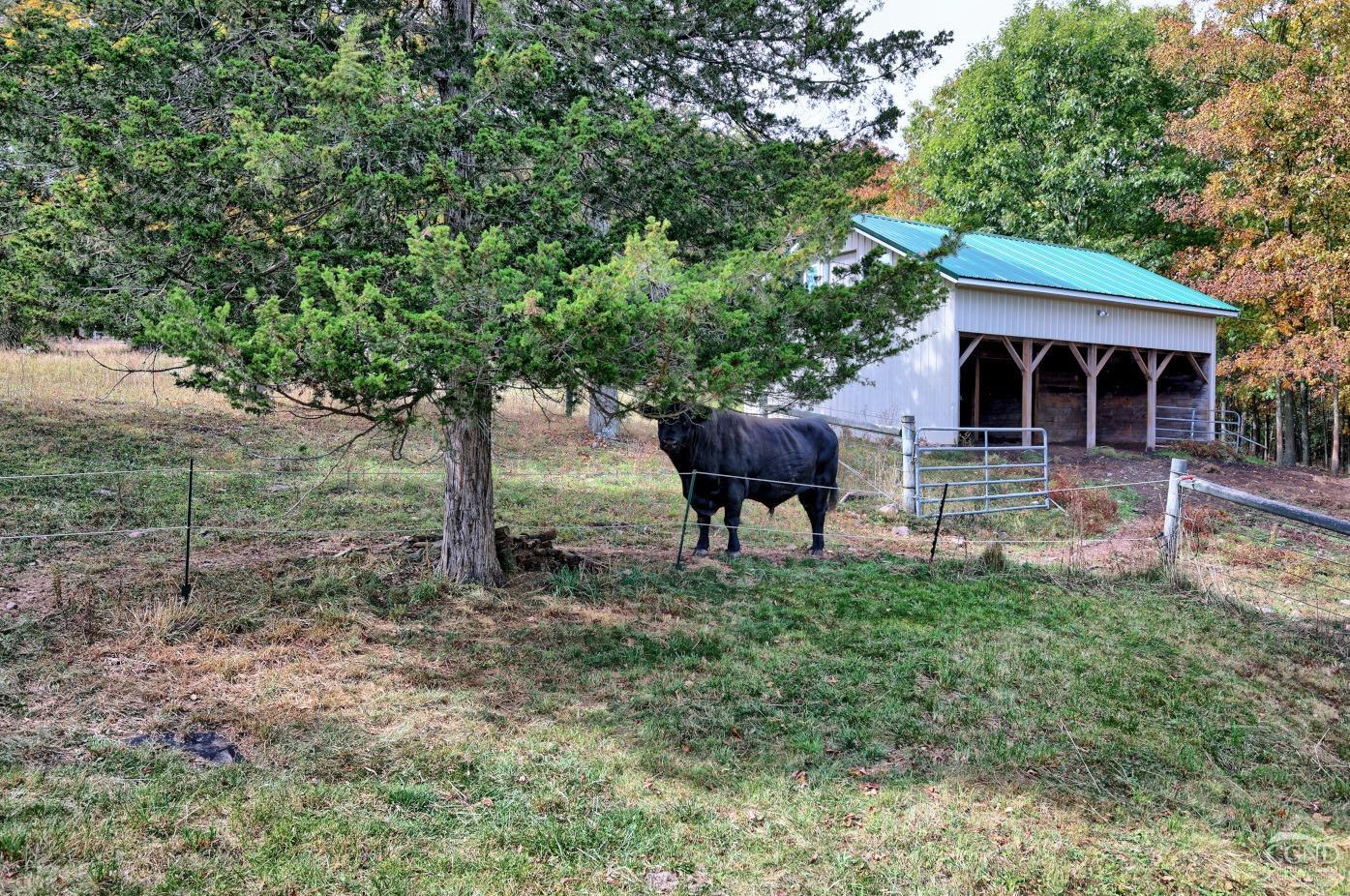 130 136 Woodard Road, Durham, New York image 17