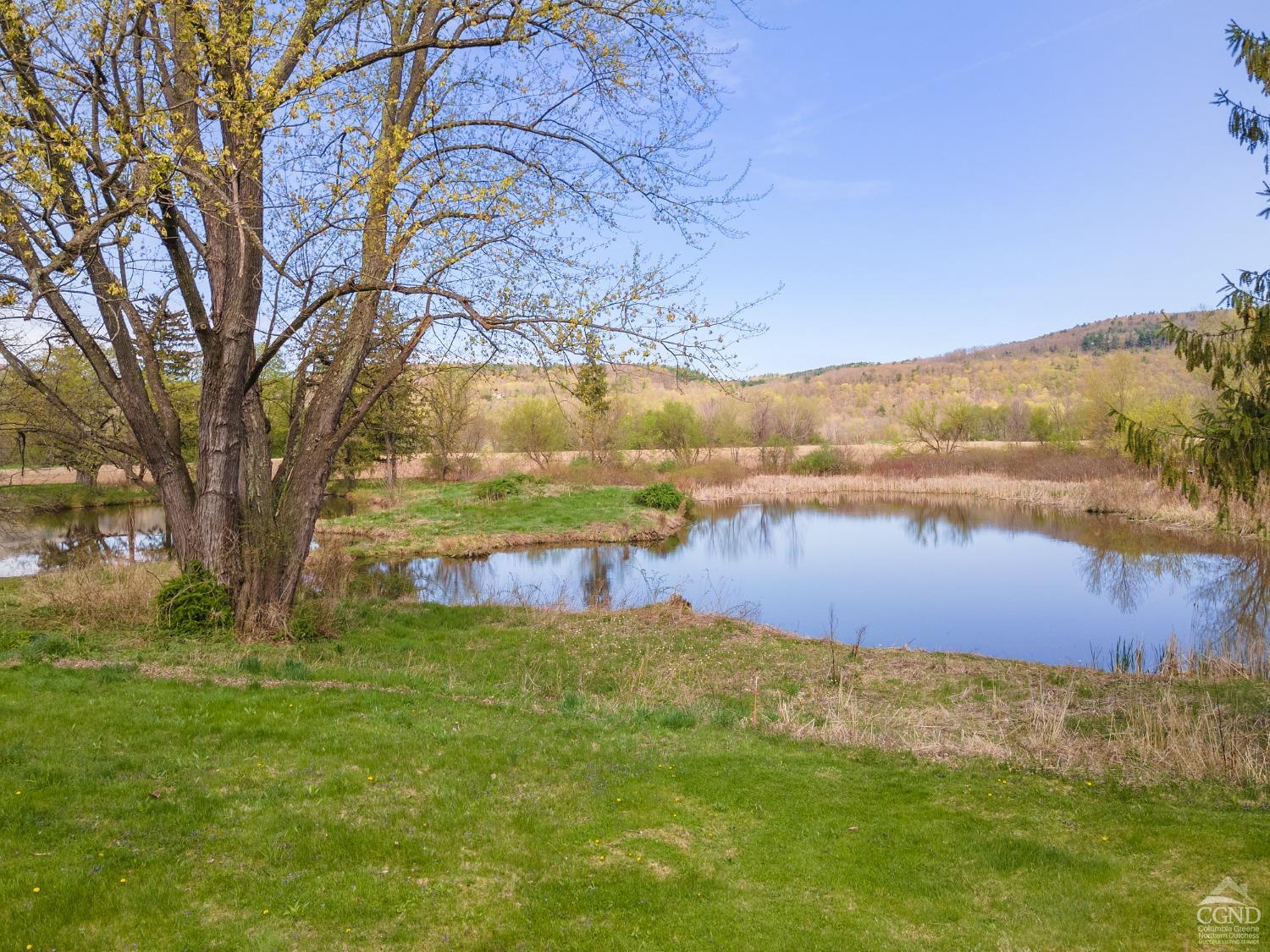 143 Grand Street, Schoharie, New York image 43