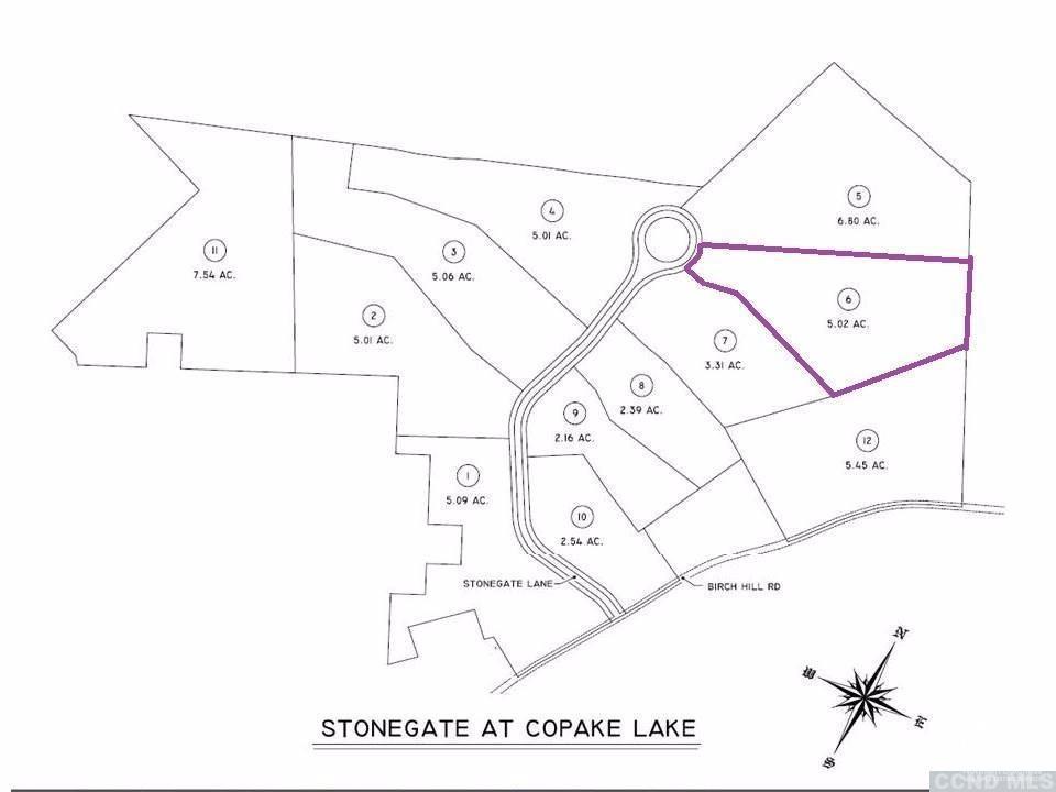 6 Stonegate Off Birch Hill Road #LOT 6, Copake, New York image 6