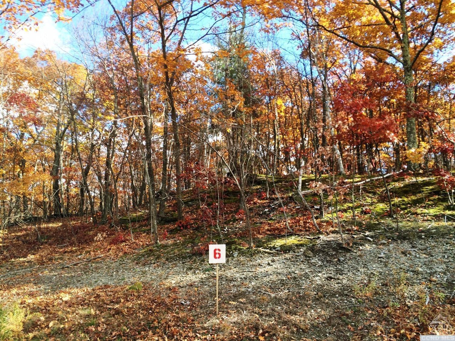 6 Stonegate Off Birch Hill Road #LOT 6, Copake, New York image 2