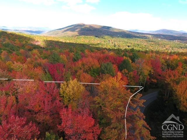 Tower Mtn Road, Jewett, New York image 6