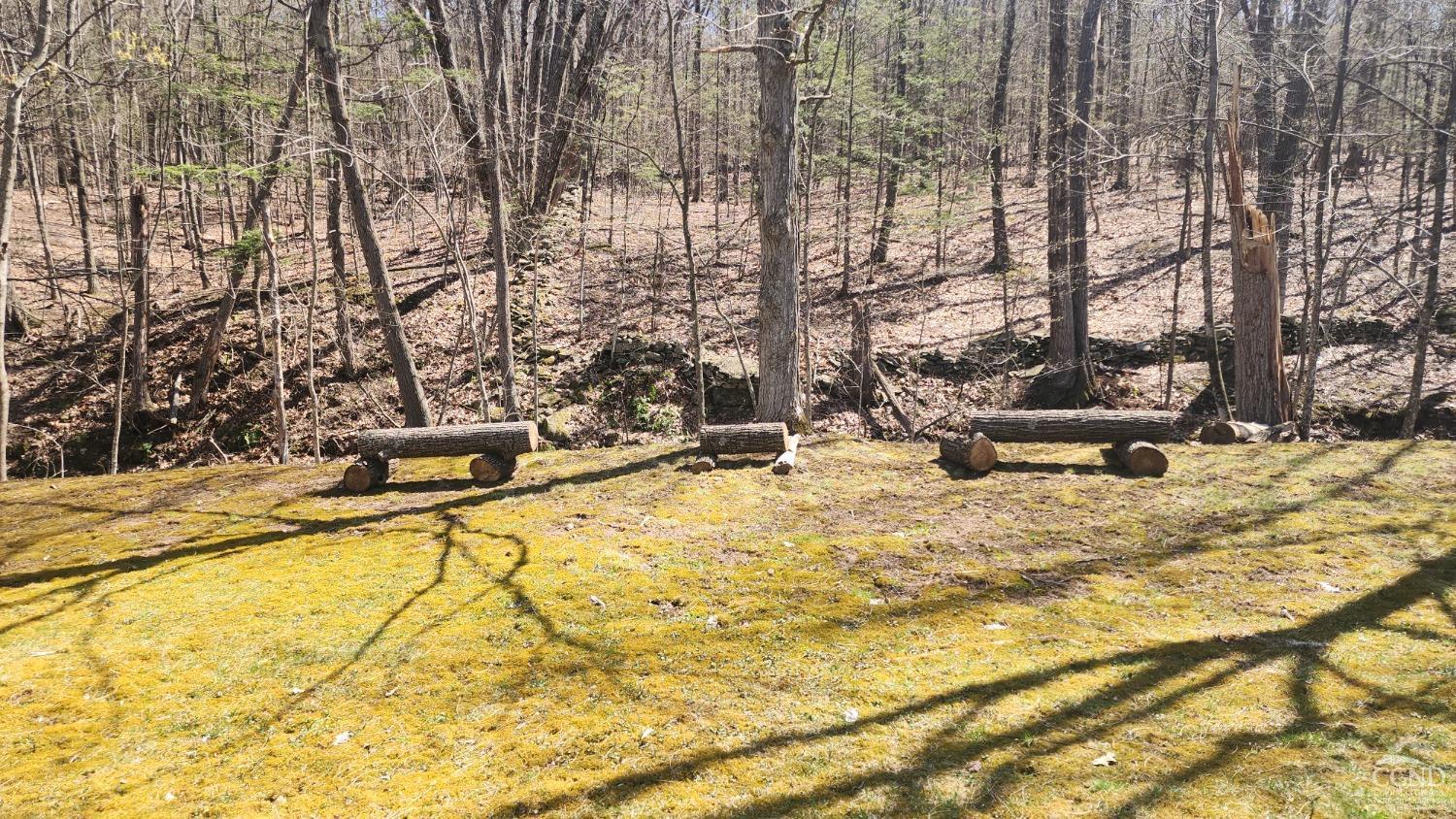 1199 Hervey Sunside Road, Durham, New York image 5