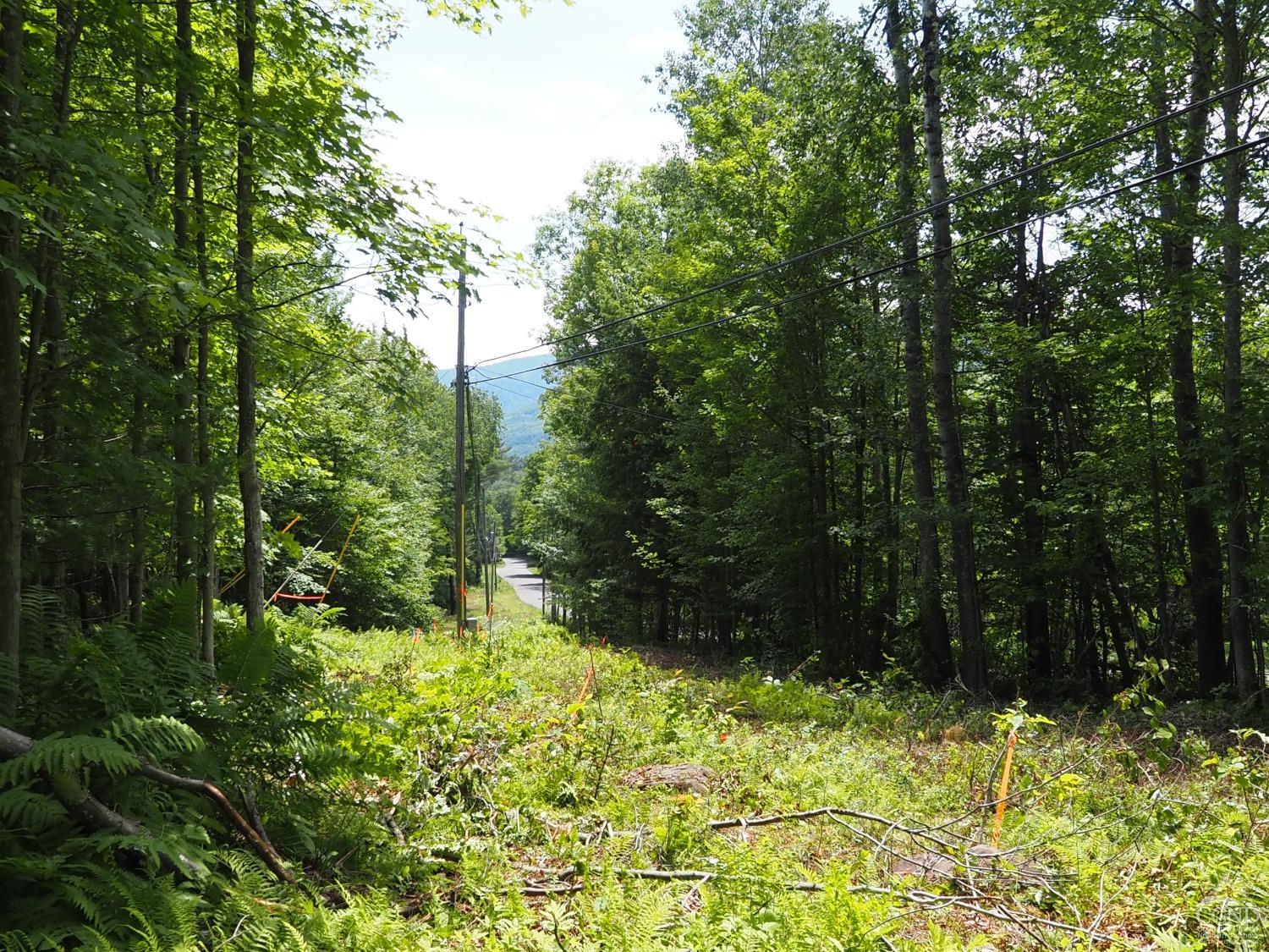 Scribner Hollow Road, Hunter, New York image 4