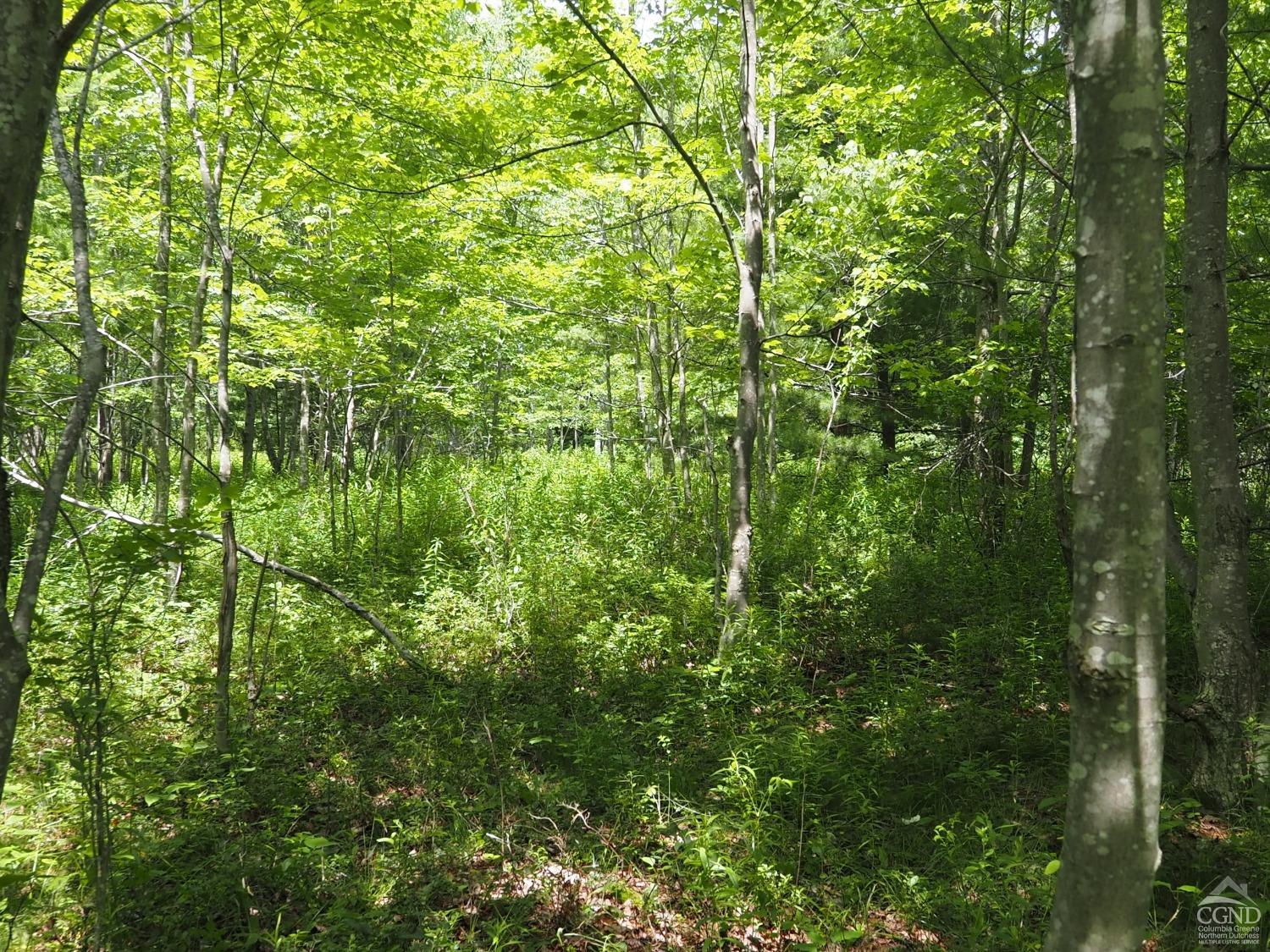 Scribner Hollow Road, Hunter, New York image 17