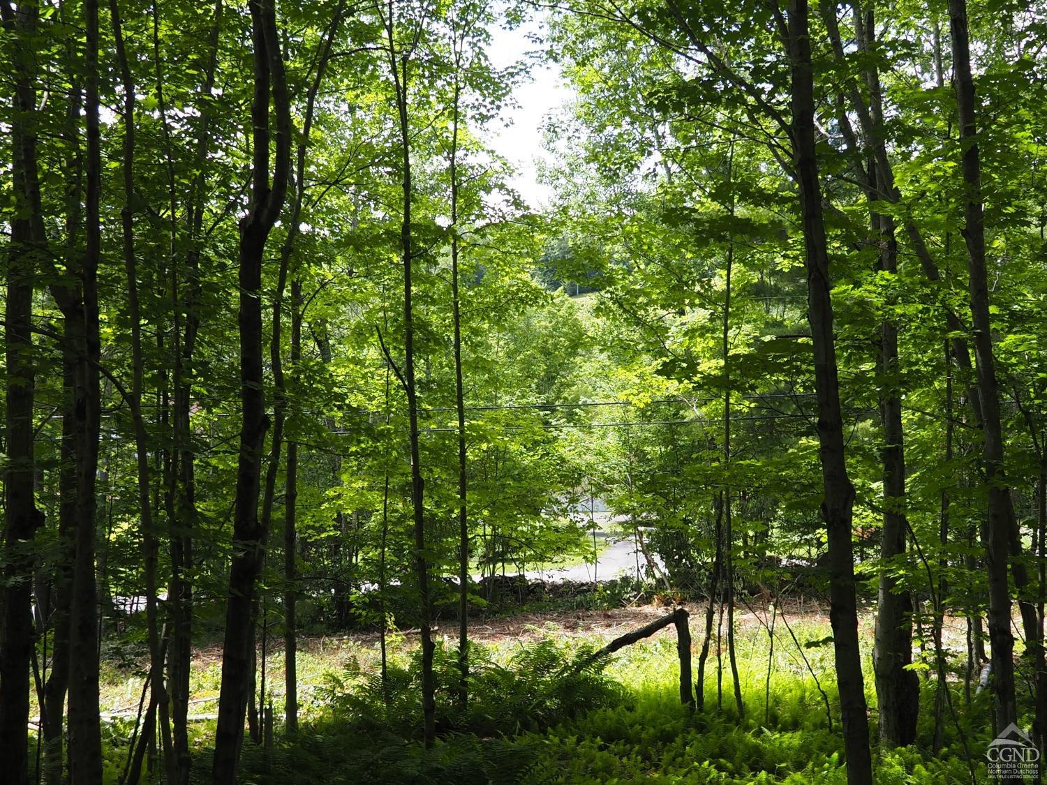 Scribner Hollow Road, Hunter, New York image 8