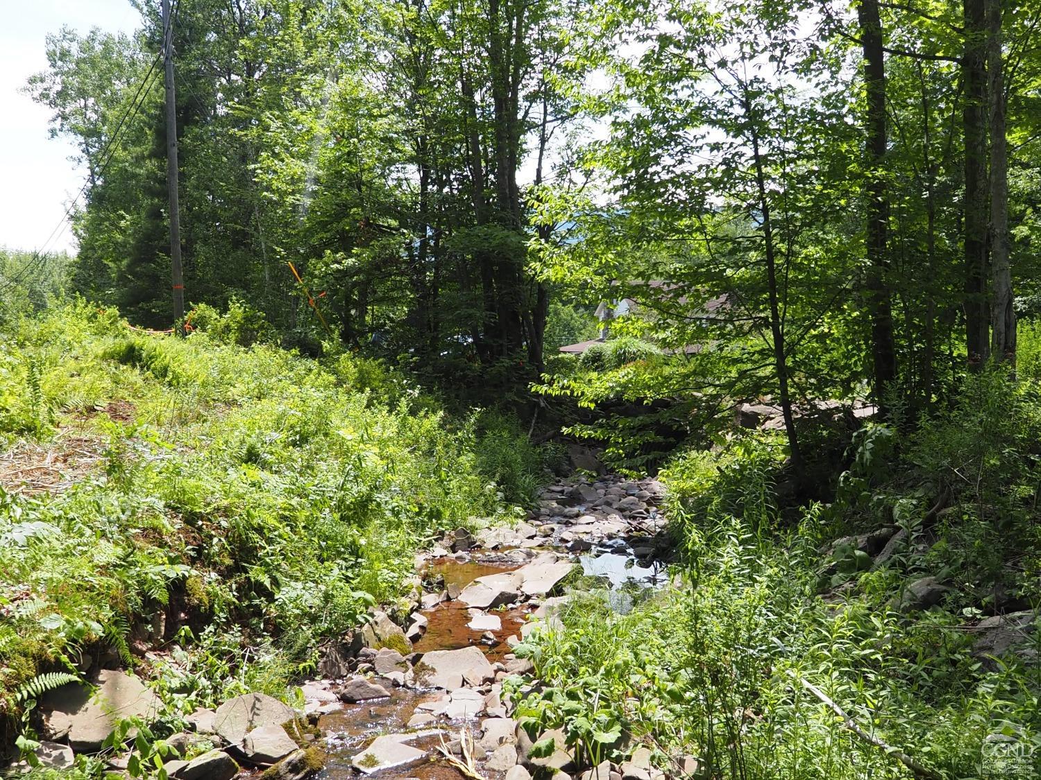 Scribner Hollow Road, Hunter, New York image 6