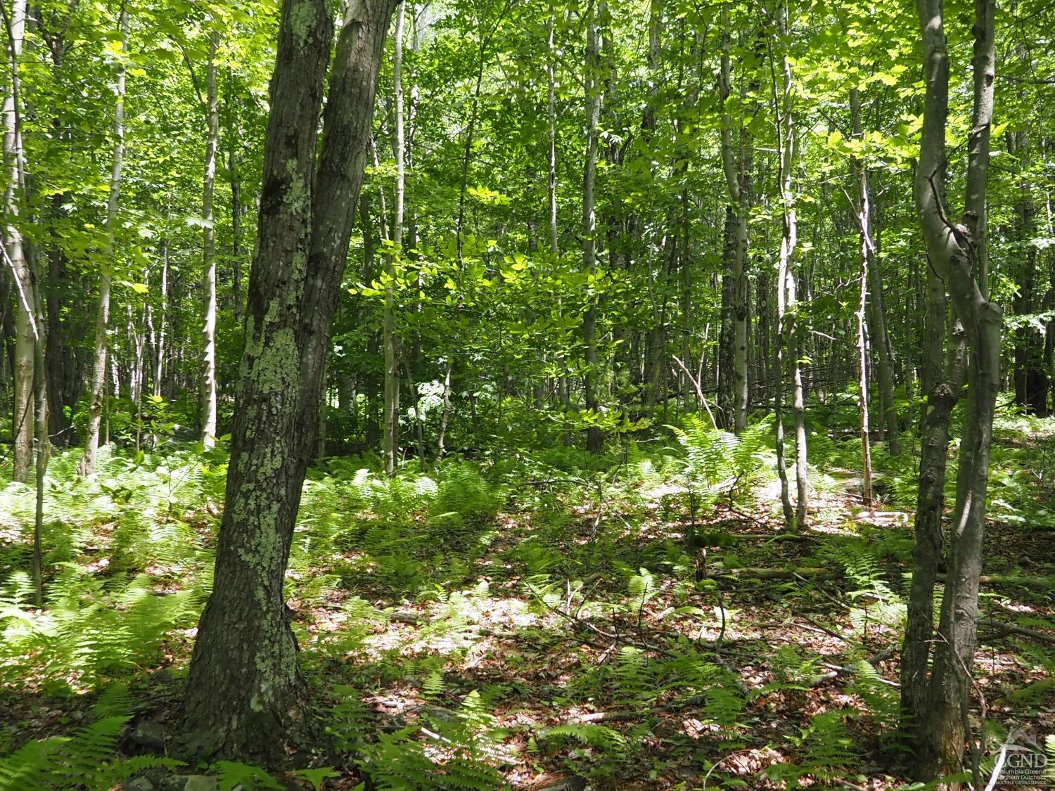 Scribner Hollow Road, Hunter, New York image 10