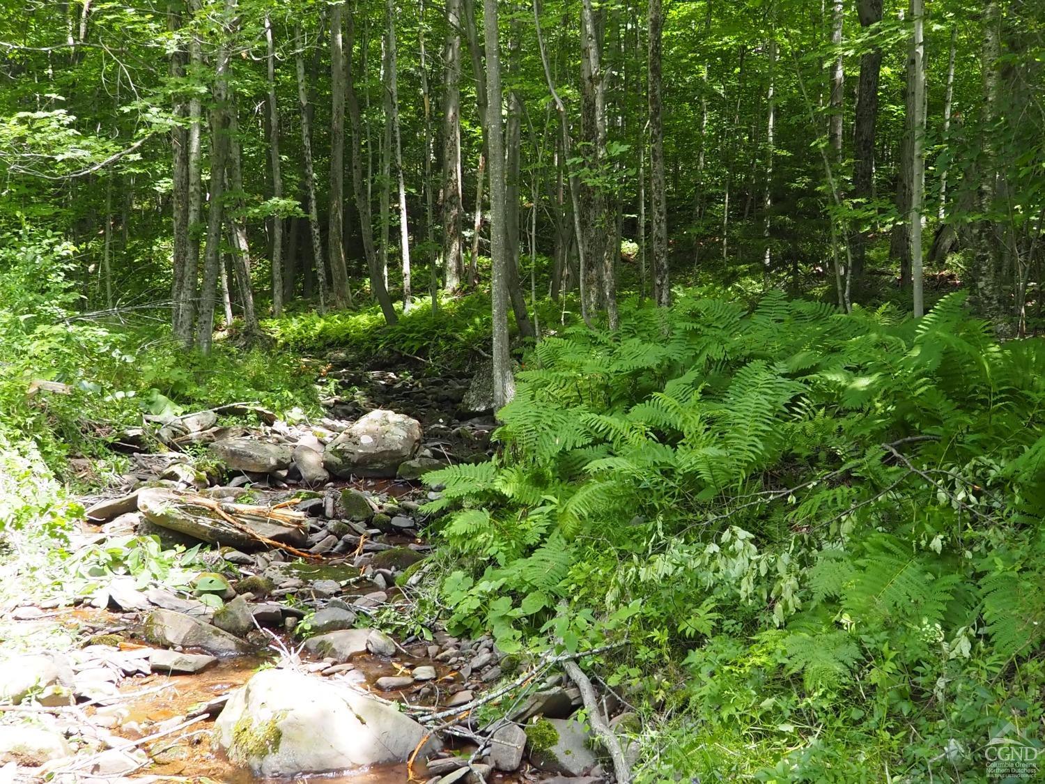 Scribner Hollow Road, Hunter, New York image 7