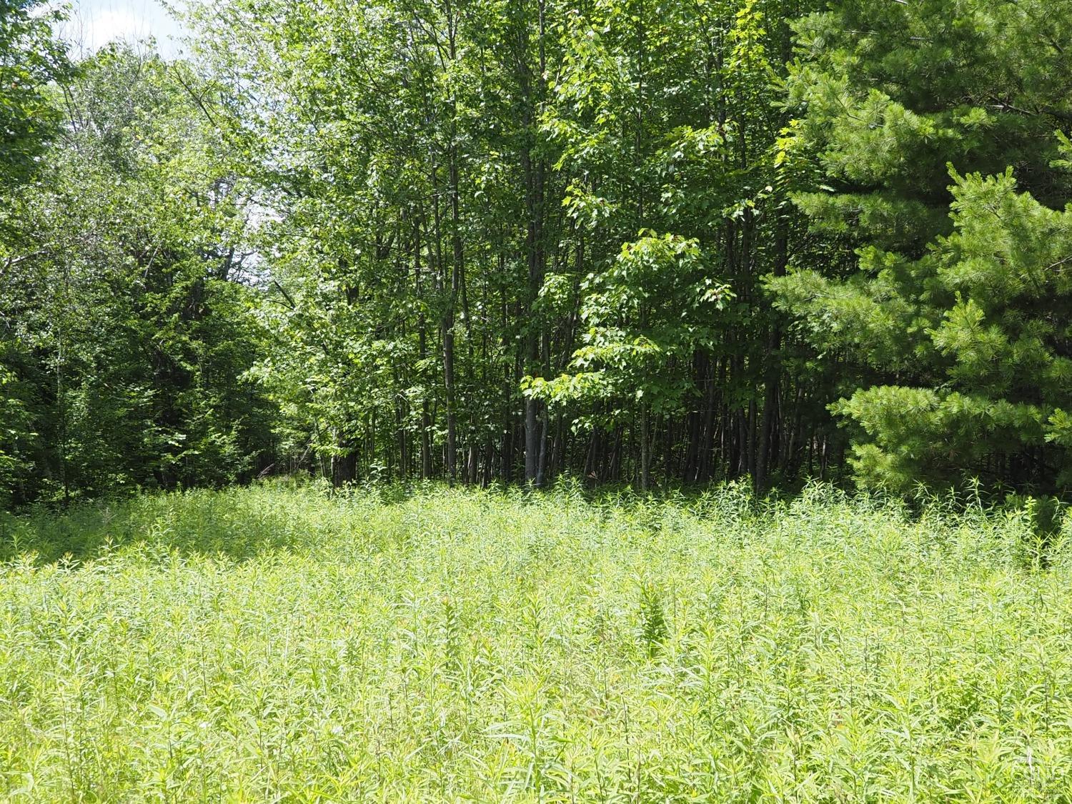 Scribner Hollow Road, Hunter, New York image 16