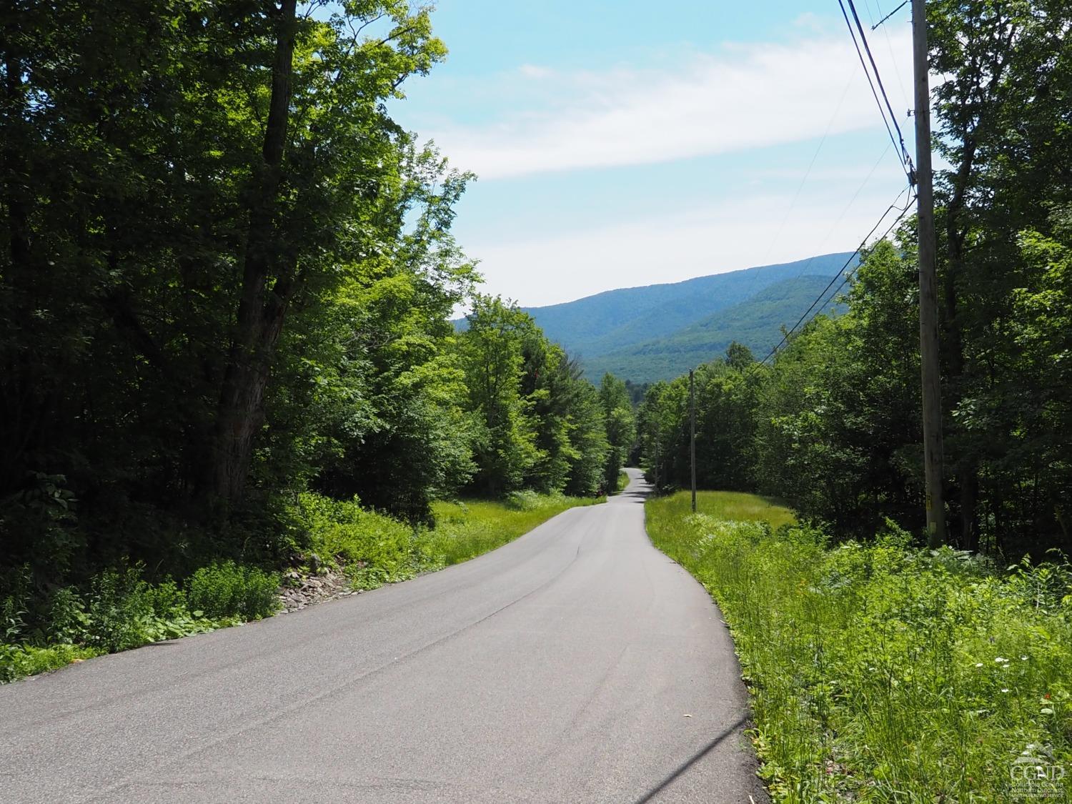 Scribner Hollow Road, Hunter, New York image 3