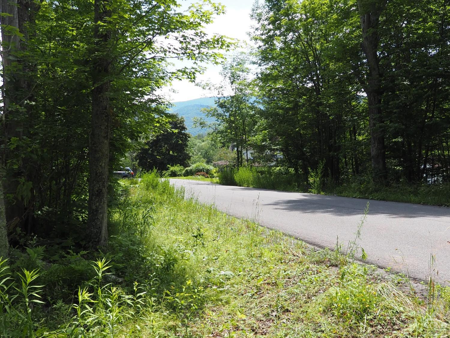 Scribner Hollow Road, Hunter, New York image 2