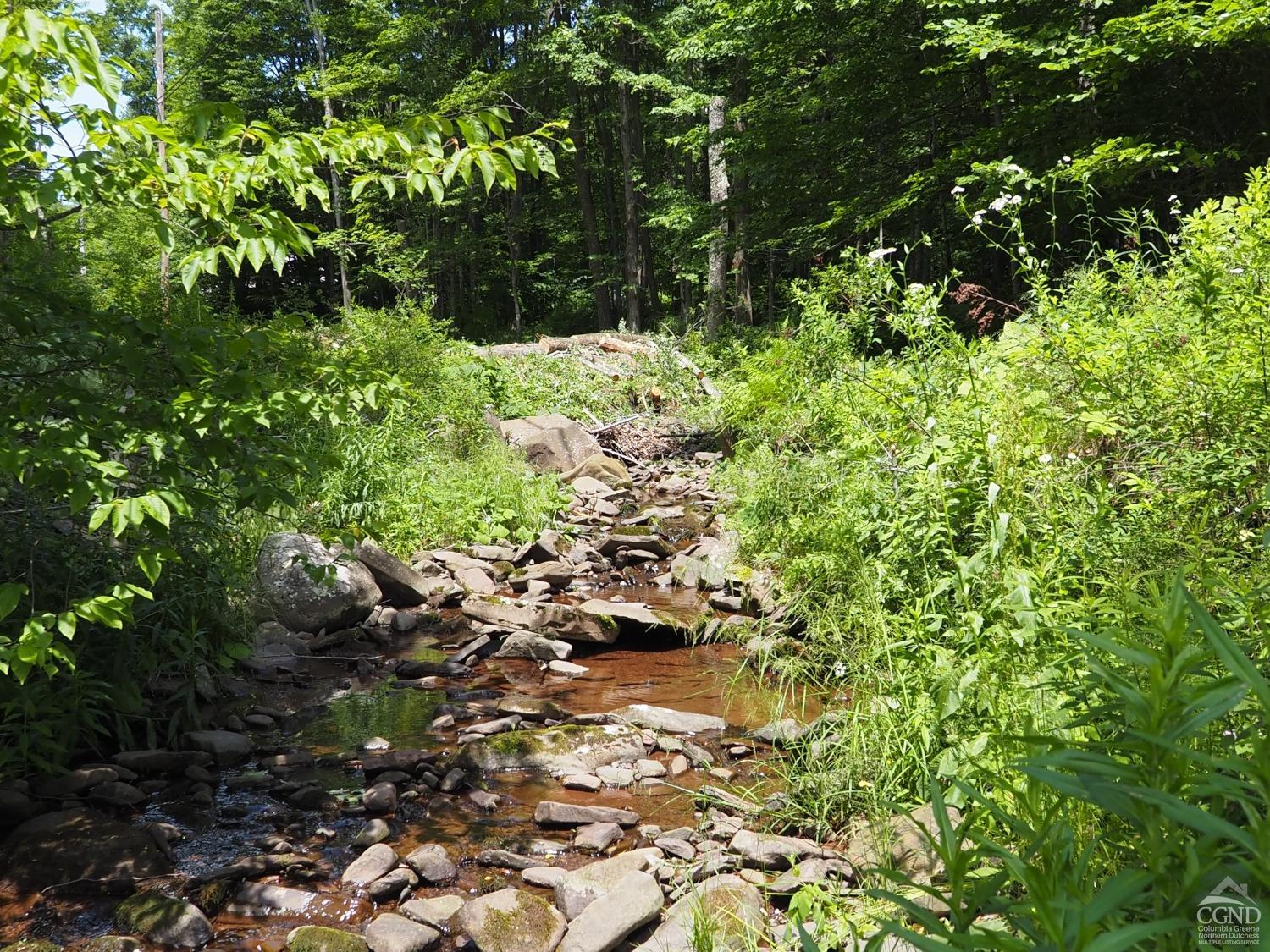 Scribner Hollow Road, Hunter, New York image 5