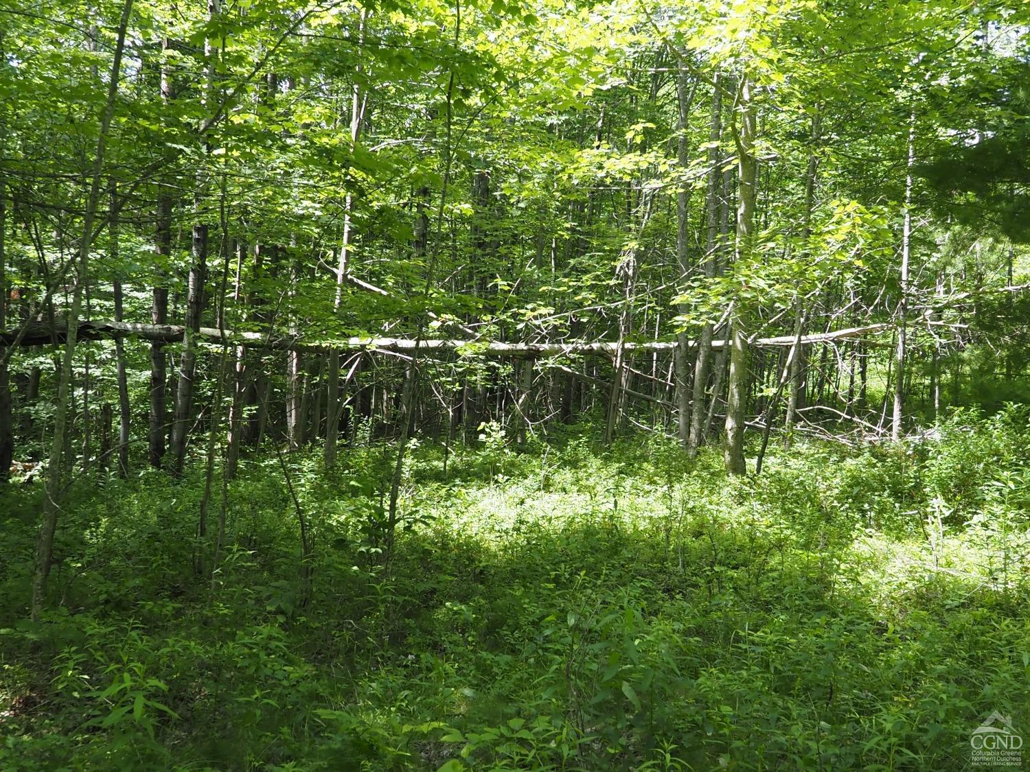 Scribner Hollow Road, Hunter, New York image 18