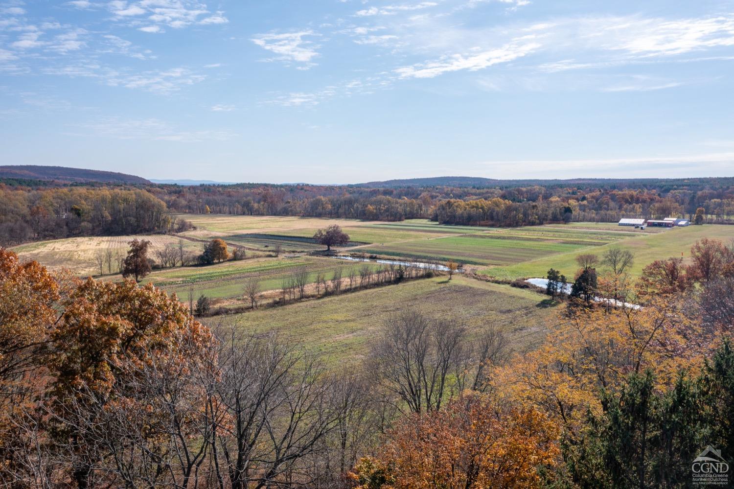 214 County Route 67, Cairo, New York image 3