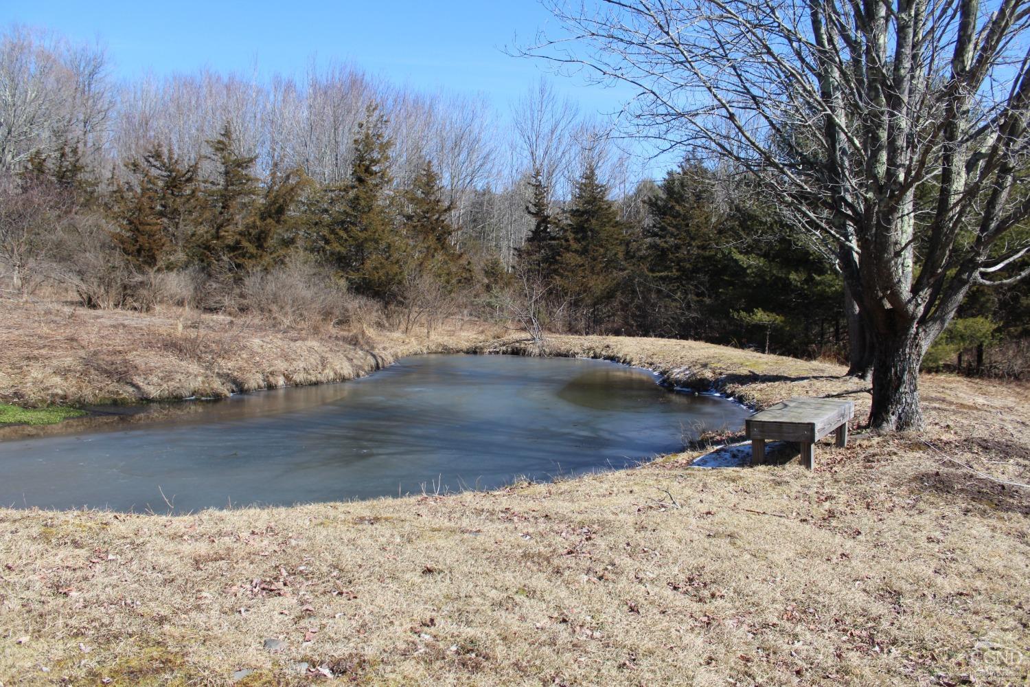 462 Dent Rd, Prattsville, New York image 8